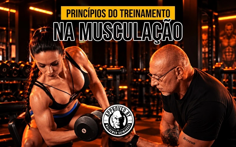 Princípios do Treinamento na Musculação